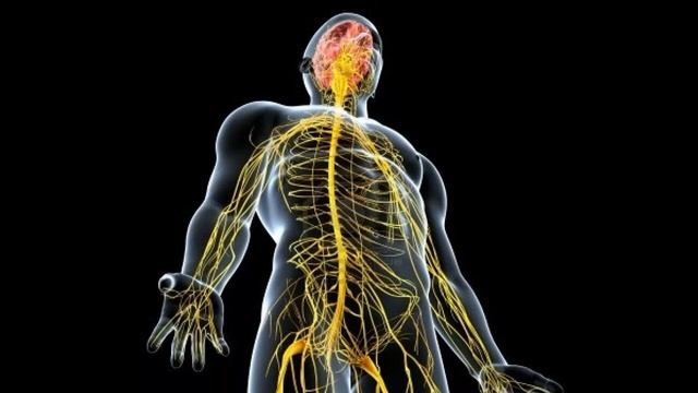 КУКУРУЗНЫЕ РЫЛЬЦА. ПОЛЬЗА И ВРЕД. ПРИМЕНЕНИЕ КУКУРУЗНЫХ РЫЛЬЦЕВ смотреть онлайн