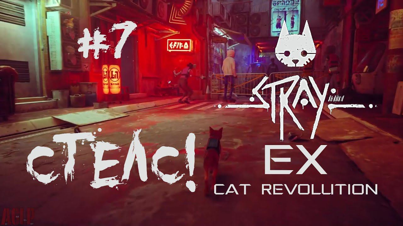 Stray  #7 СТЕЛС)))!