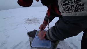 Ловля судака со льда на вибы. Часть 1.