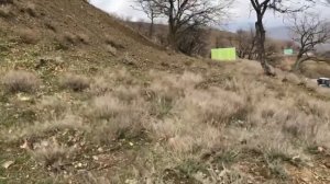 Купить земельный участок  в Алуште, Малореченское, Продажа дома в Алуште, Малореченское