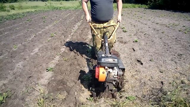 Прополка и окучивание картофеля мотоблоком!