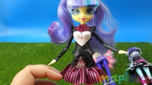 Мой маленький пони Эквестрия Герлз Понимания Photo Finish & Snapshots Equestria Girls Ponymania