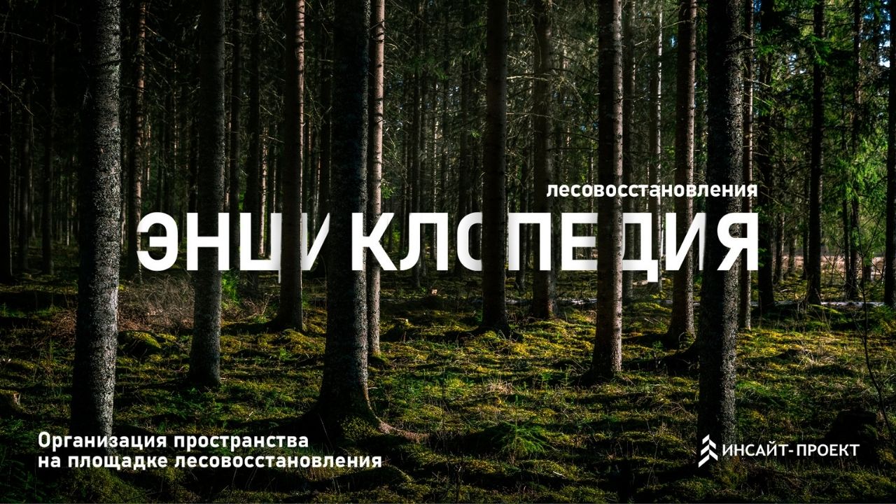 Энциклопедия лесовосстановления_8_Организация пространства на площадке лесовосстановления