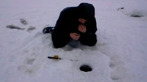 Зимняя рыбалка Заволжье