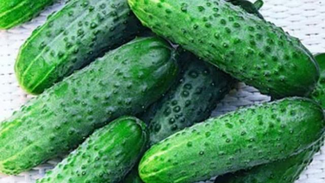 купить семена огурца оптом+