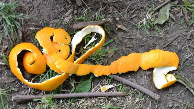 Бутылка из апельсиновых корок. Сырье для биопластиков ПЭФ для замены ПЭТ. смотреть онлайн