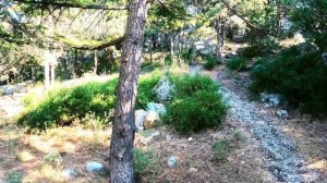 Крым 2023🌴Симеиз🌞улица Красномаякская🏡живем на море🌊ножки трясутся😂