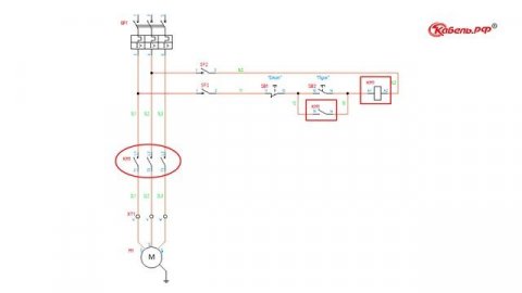 Как читать электрические схемы.Отличие секции от системы шин