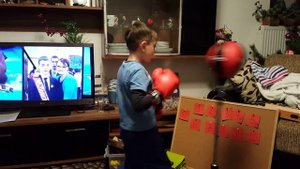 Детская Боксерская груша, Punchingball