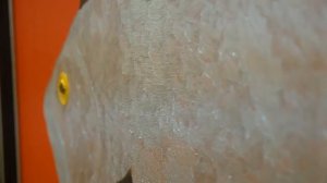 Красная рыба