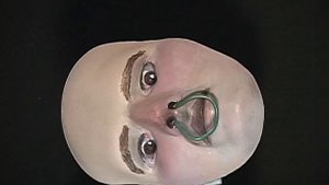 3D Hollow Face Illusion with Rolling Eyes (physical / no computer graphics)