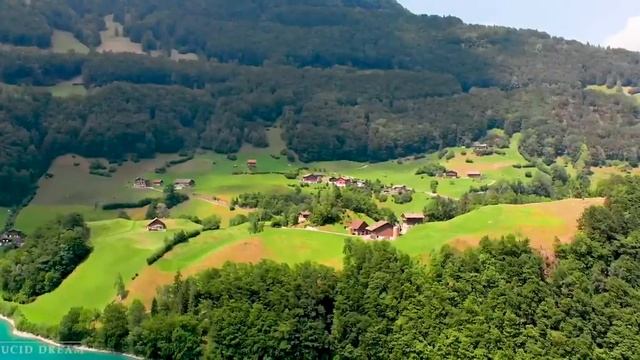 Спокойная музыка для лечения сердечно-сосудистой системы: успокаивает нервы и радует душу смотреть онлайн