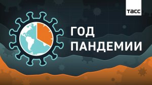 Год пандемии. Как это было?