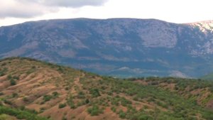 Если мучают последствия греха рукоблудия. Священник Игорь Сильченков.