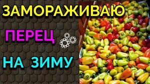 Заморозка овощей на зиму / Как я похудела на 94 кг и укрепила здоровье