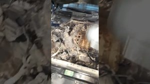 СНЯЛ впускной коллектор, bmw m62, b44, e38.