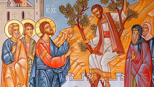 Проповедь кс Павла Кнурека на воскресенье 03 11 2019 Бог, который нас преображает