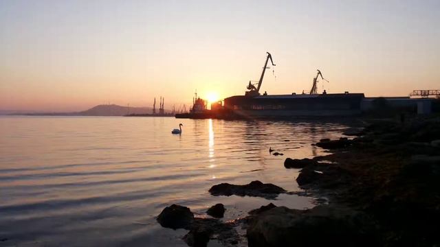 Одинокий лебедь смотреть онлайн