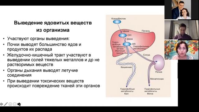 Фальсификация эфирных масел. Взгляд врача и химика.