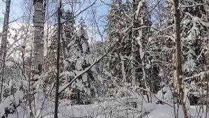 Белый пепел, cover А. Маршал