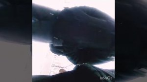 12- летний просит курить