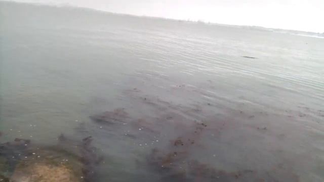 Зимнее море. Керченский полуостров.