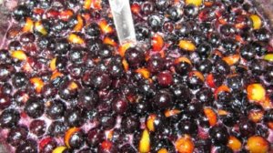 Варенье из терна с косточками