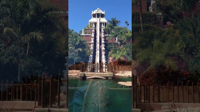 Сиам парк Тенерифе убойный аттракцион/ Siam Park crazy man