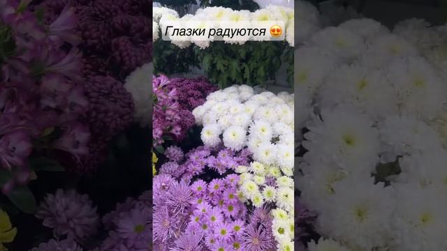 Какие красивые#цветы#красота