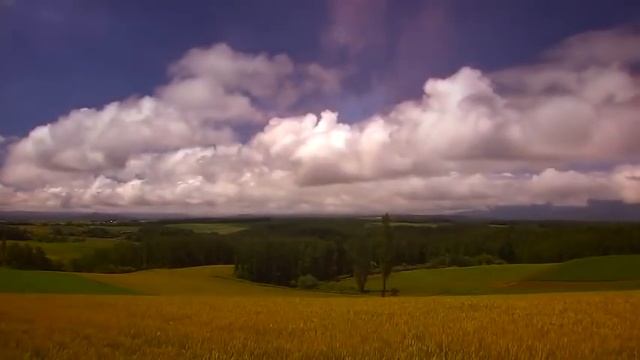 Поёт Валерий Сёмин. _Остановись, мгновение_ смотреть онлайн