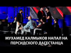 Персидский Дагестанец Мухамед Калмыков HFC MMA