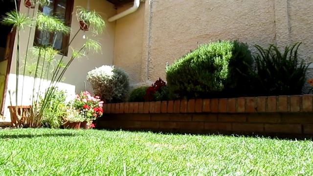 Test Video HD - Canon Powershot SX210 IS смотреть онлайн