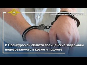 Ирина Волк: В Оренбургской области полицейские задержали подозреваемого в краже и поджоге