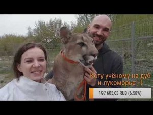 Прямой эфир.