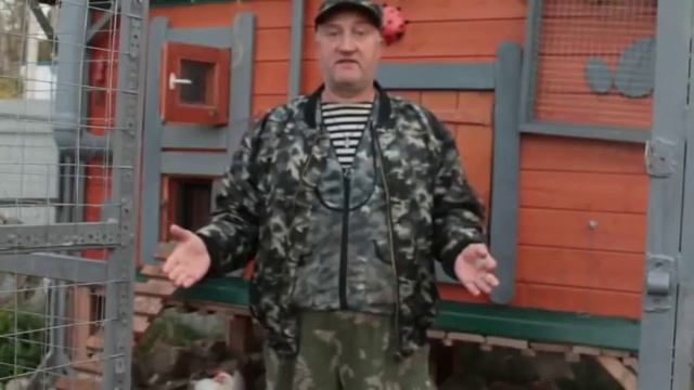 Дезинфекция выгула у любой домашней птицы. Старинный метод. смотреть онлайн
