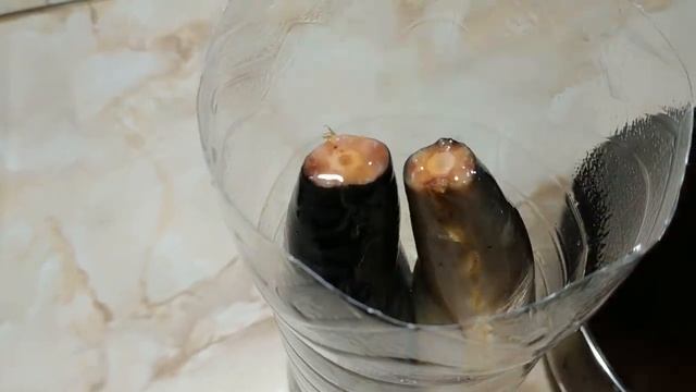 СКУМБРИЯ МАЛОСОЛЬНАЯ В ЛУКОВОЙ ШЕЛУХЕ _ КАК КОПЧЕНАЯ