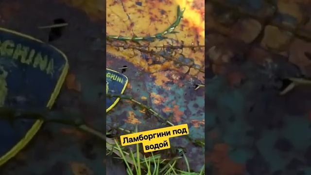 Нашел Ламбу во время магнитной рыбалки! #ламборгини #магнитнаярыбалка смотреть онлайн