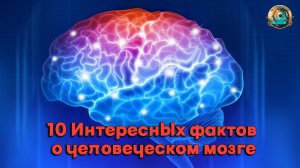 10 Интересных фактов о человеческом мозге