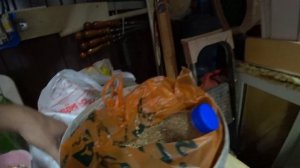 Куриные новости на Дачном участке сезон 3: уход и кормежка пшеницей