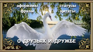 "О ДРУЗЬЯХ И ДРУЖБЕ" - афоризмы, фразы, статусы, цитаты (музыкальное видео)