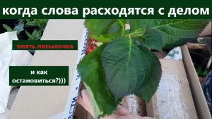 Когда слова расходятся с делом. Друзья/ опять посылочка. Распакуем новинки для сада вместе.