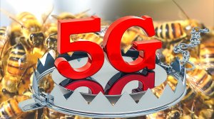Вред Wi-Fi и электромагнитных волн для пчел и насекомых.mp4