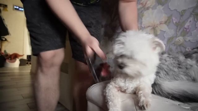 ГОВОРЯЩИЙ ХУАН В РЕАЛЬНОЙ ЖИЗНИ СЕМЬИ ЛЯПОТА ТВ