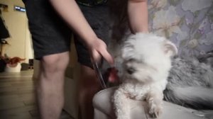ГОВОРЯЩИЙ ХУАН В РЕАЛЬНОЙ ЖИЗНИ СЕМЬИ ЛЯПОТА ТВ