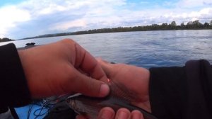 Моя первая рыбалка на хариуса) Рыбалка в Красноярске