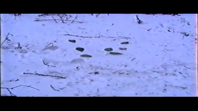 Пророк СанБой – Трава весны (Grey Lenses Remix v1.1) смотреть онлайн