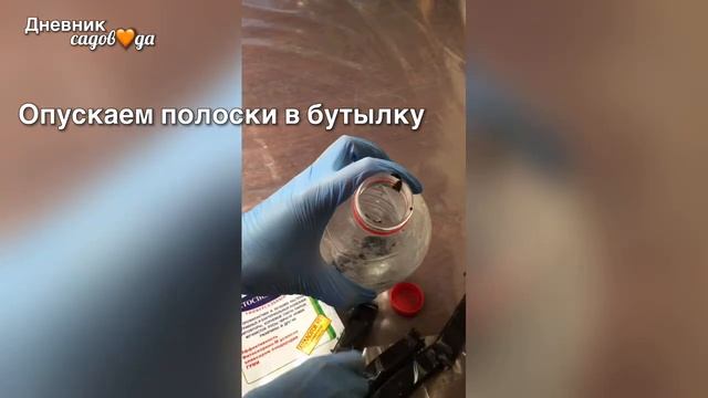 Как приготовить концентрат ФИТОСПОРИНА и не испачкаться |Дневник садовода смотреть онлайн