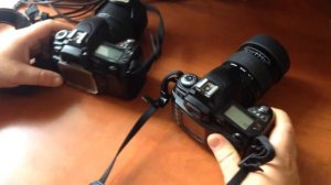 Обзор-сравнение Nikon D70 и Nikon D80