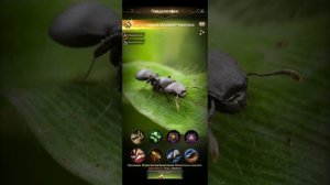 #theants, The Ants Underground Kingdom ♥  Вылупление 53 яйца