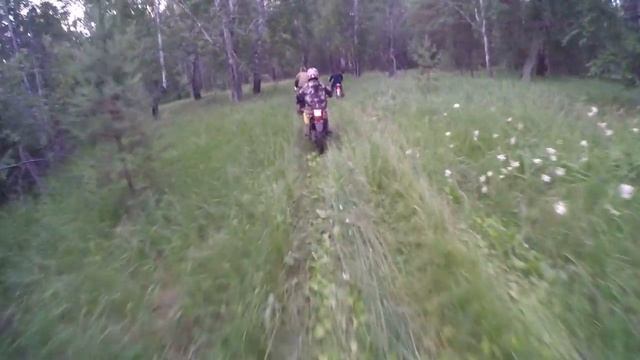 Лесные дороги смотреть онлайн